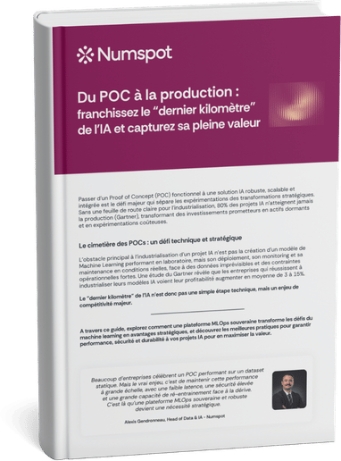 ebook à télécharger : franchissez le dernier kilomètre de l’IA